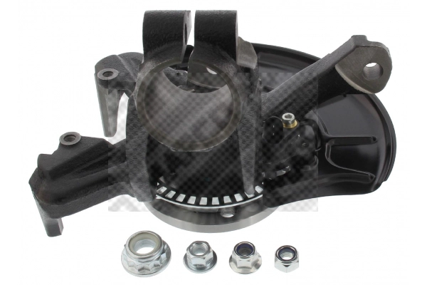 Repair Kit, steering knuckle