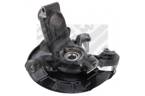 Repair Kit, steering knuckle