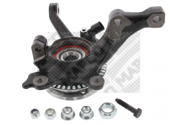 Repair Kit, steering knuckle
