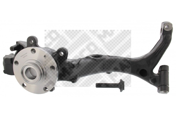 Repair Kit, steering knuckle