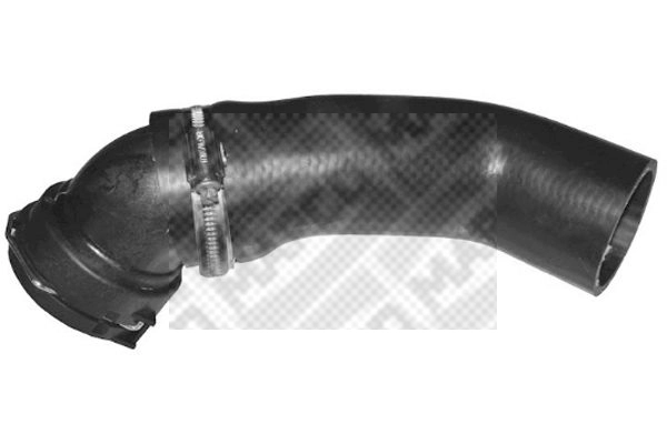 Charge Air Hose (39853)