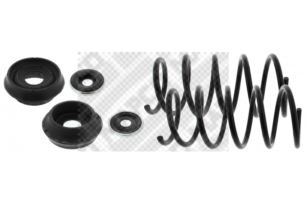 Suspension Set, springs (70101/4)