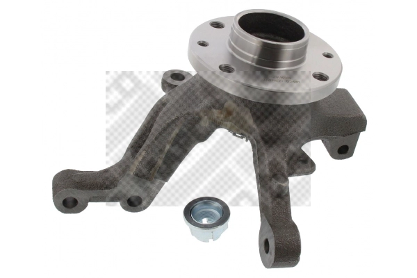 Repair Kit, steering knuckle (107111/4)