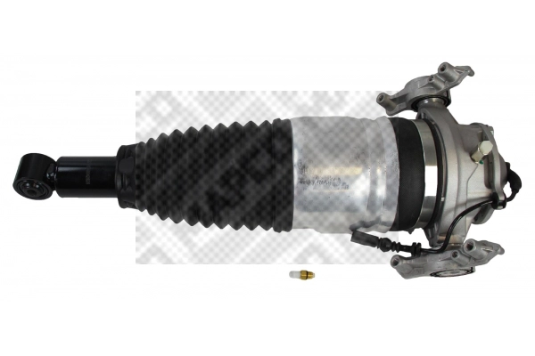 Air Spring, suspension (40731)