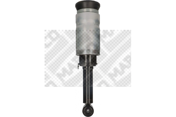 Air Suspension Strut (20991)