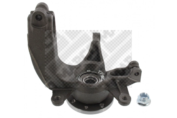 Repair Kit, steering knuckle