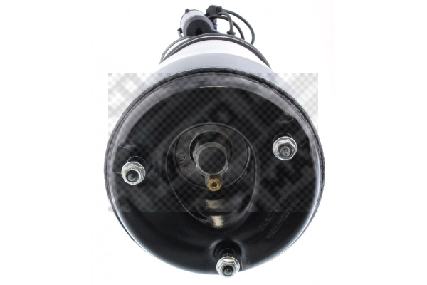 Air Suspension Strut