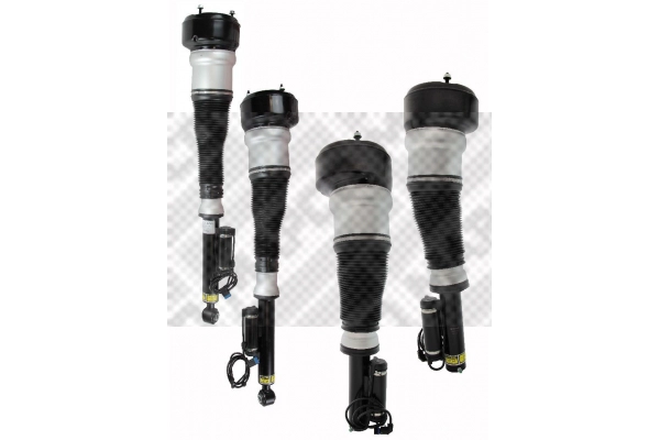 Air Suspension Strut (40873/5)
