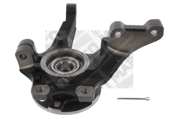 Repair Kit, steering knuckle