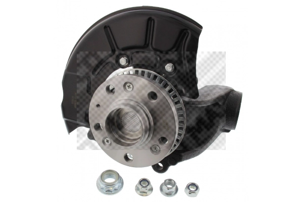 Repair Kit, steering knuckle