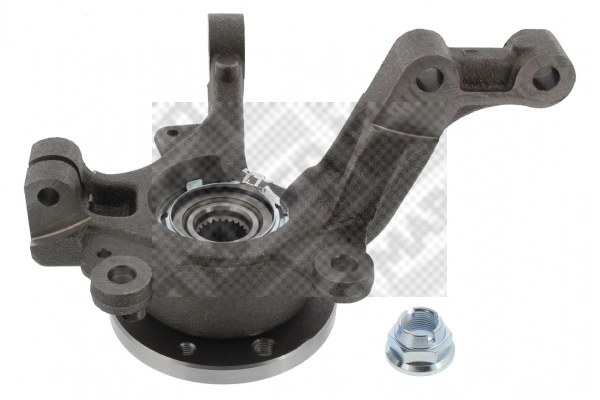 Repair Kit, steering knuckle