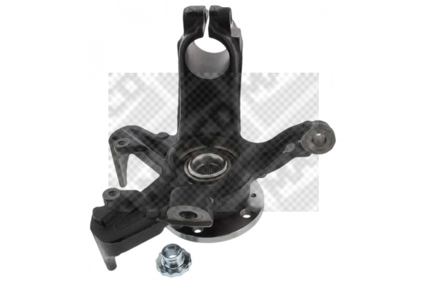 Repair Kit, steering knuckle