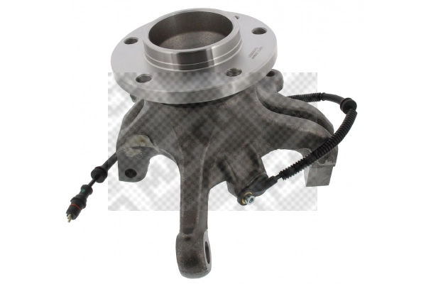 Repair Kit, steering knuckle