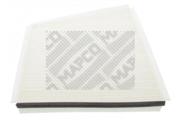 Filter, cabin air (65857)