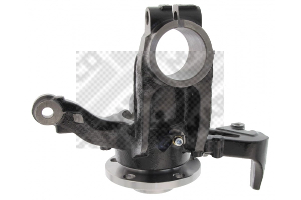 Repair Kit, steering knuckle