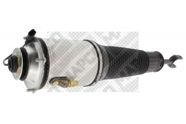 Air Suspension Strut