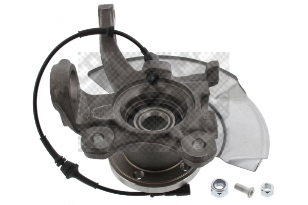 Repair Kit, steering knuckle