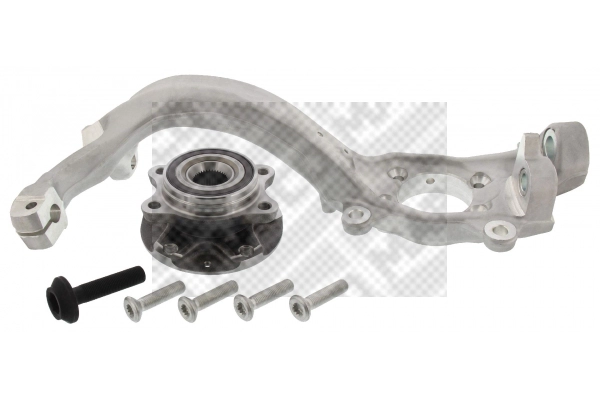 Repair Kit, steering knuckle (107765/1)