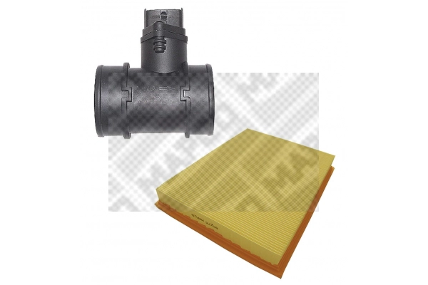 Mass Air Flow Sensor (42702/6)
