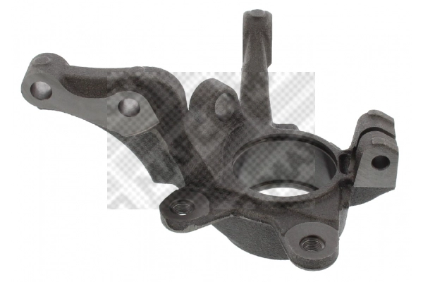 Steering Knuckle, wheel suspension (107101)