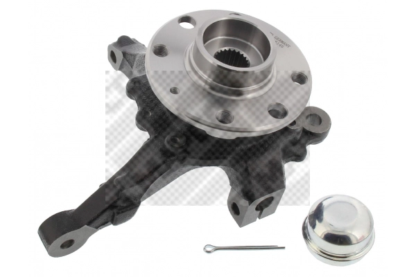 Repair Kit, steering knuckle (107709/4)