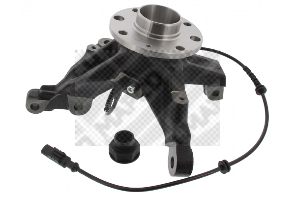 Repair Kit, steering knuckle