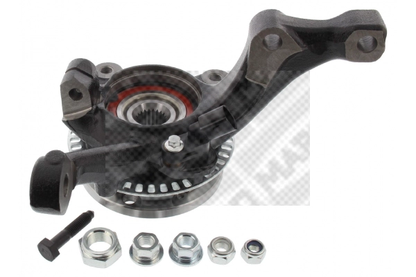 Repair Kit, steering knuckle