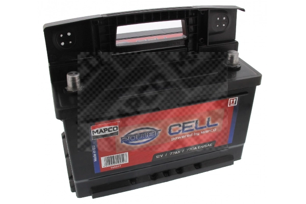 Starter Battery