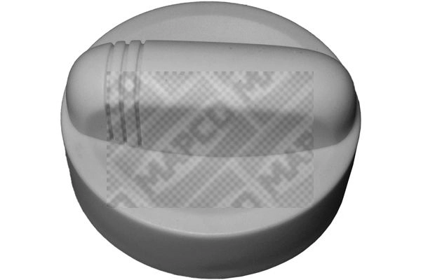 Sealing Cap, oil filler neck (79002)