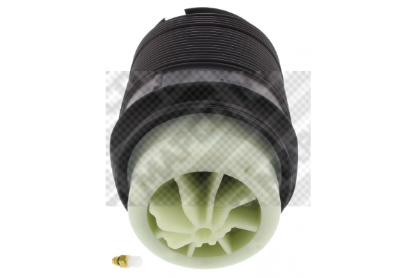 Air Spring, suspension