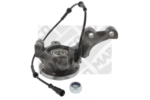 Repair Kit, steering knuckle