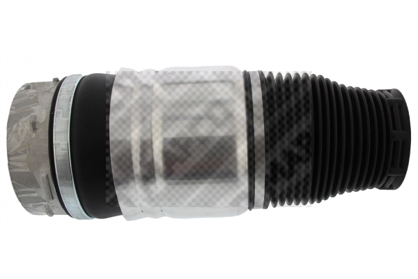 Air Spring, suspension (40742)