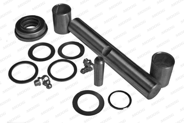 Repair Kit, kingpin (FD-BJ-2005)