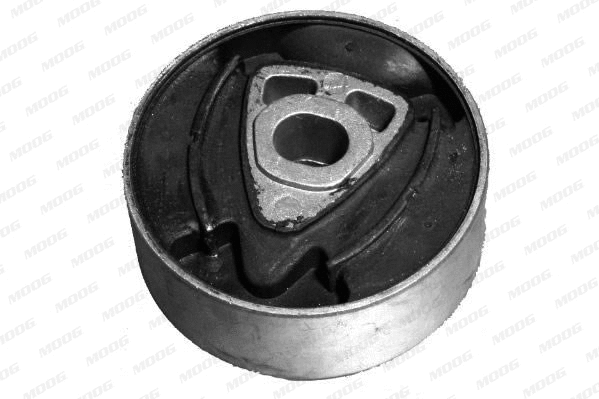 Mounting, transfer case (BM-SB-4499)