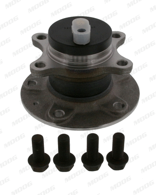 Wheel Bearing Kit (FI-WB-11613)