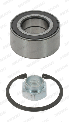 Wheel Bearing Kit (FI-WB-11573)