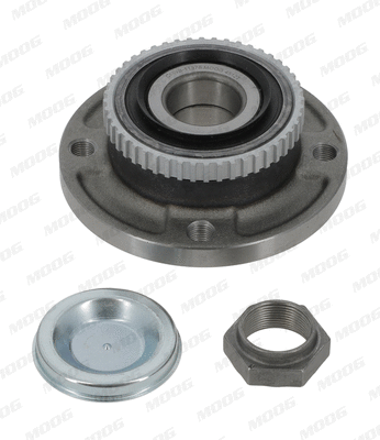 Wheel Bearing Kit (CI-WB-11378)
