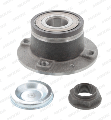 Wheel Bearing Kit (CI-WB-12943)