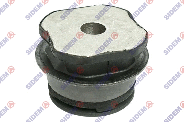 Bushing, axle beam (819304)