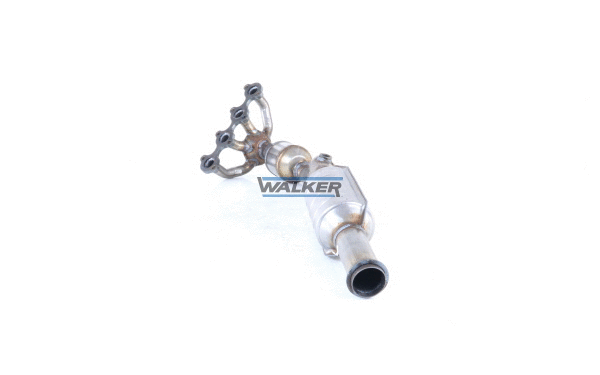 Catalytic Converter (28137)