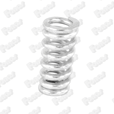 Spring, muffler