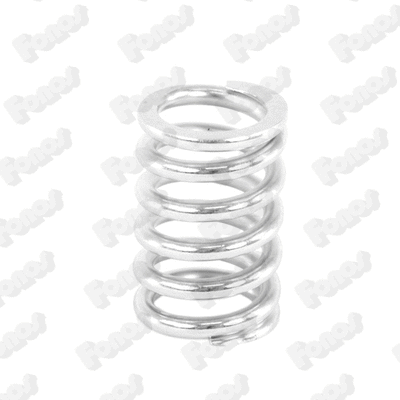 Spring, muffler