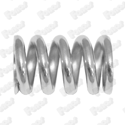 Spring, muffler