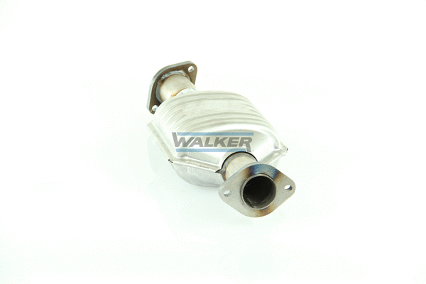 Catalytic Converter (28830)
