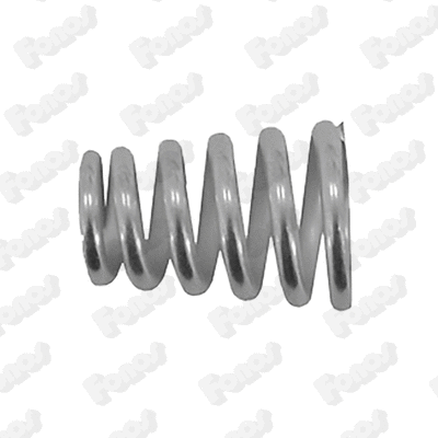Spring, muffler