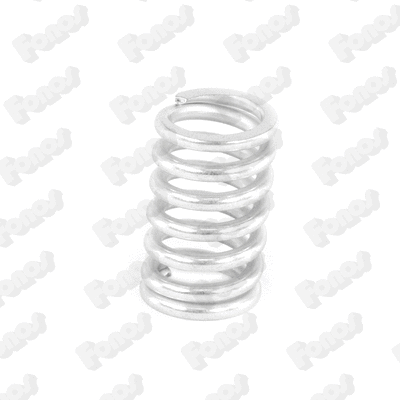 Spring, muffler