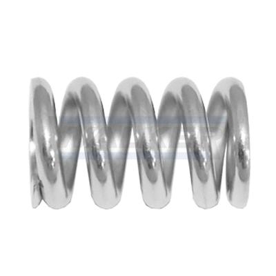 Spring, muffler