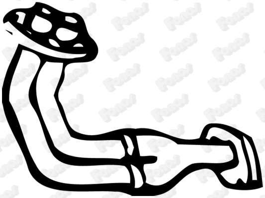 Exhaust Pipe (08800)