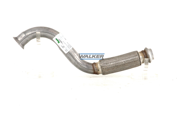 Exhaust Pipe