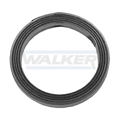 Gasket, exhaust pipe (80364)